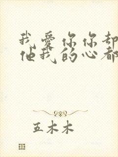 我爱你你却爱着他我的心都碎了歌词