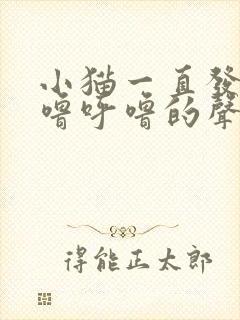 小猫一直发出呼噜呼噜的声音是什么原因