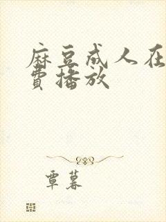 麻豆成人在线免费播放