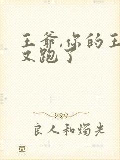 王爷,你的王妃又跑了