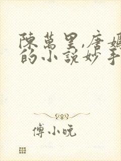 陈万里,唐嫣然的小说妙手大仙医