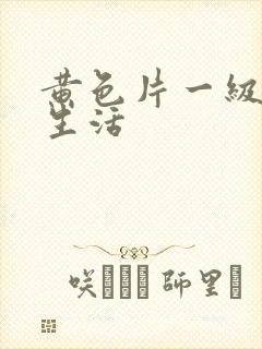 黄色片一级夫妻生活封面