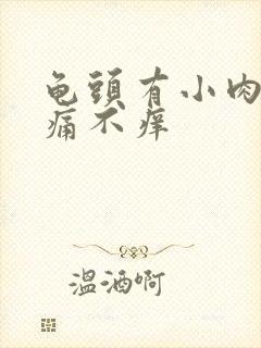 龟头有小肉粒不痛不痒