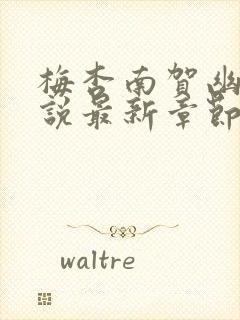 梅杏南贺幽寒小说最新章节更新