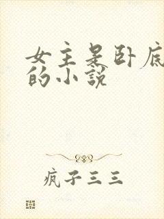 女主是卧底警察的小说封面