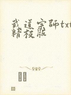 武道宗师txt精校版