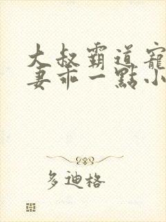 大叔霸道宠小甜妻乖一点小说封面