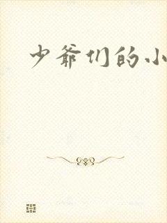 少爷们的小女仆