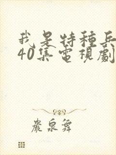 我是特种兵1—40集电视剧