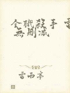 全职杀手 电影 无删减