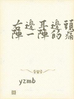 右边耳边头部一阵一阵的痛