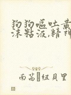 狗狗呕吐黄水泡沫粘液,精神食欲却很好