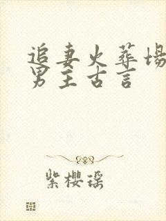 追妻火葬场狂虐男主古言