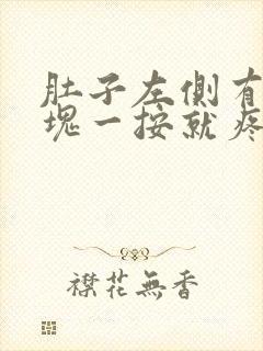 肚子左侧有个硬块一按就疼怎么回事