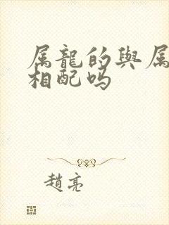 属龙的与属兔的相配吗