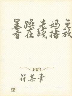 暴躁老妈免费观看在线播放电视剧全