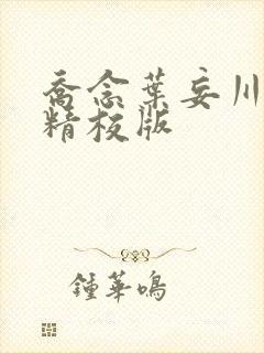 乔念叶妄川完整精校版