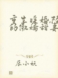 重生暖婚,陆少的傲娇甜妻