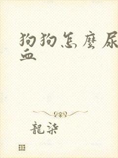 狗狗怎么尿里有血