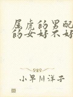 属虎的男配属蛇的女好不好