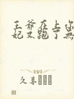 王爷在上你家王妃又跑了无删减全本