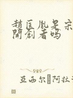 赵匡胤是宋朝的开创者吗