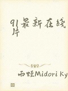 91最新在线看片