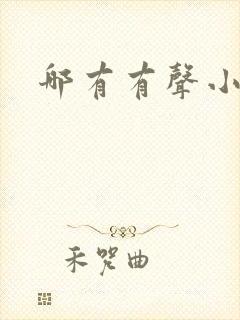 哪有有声小说听