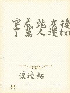 穿成炮灰后我成了万人迷txt封面