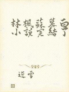 林枫苏慕白穿越小说完结了吗怎么看