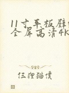 11寸平板壁纸全屏高清4k