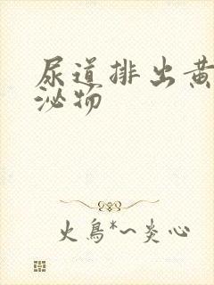 尿道排出黄色分泌物