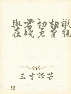 与君初相识全集在线免费观看封面