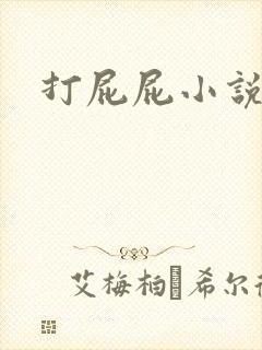 打屁屁小说封面