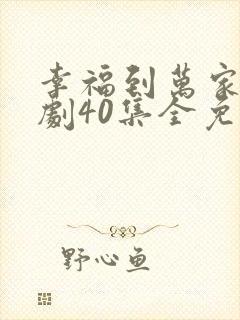 幸福到万家电视剧40集全免费观看