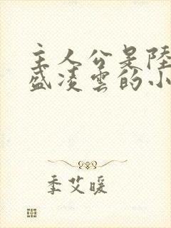 主人公是陆羽和盛凌云的小说红途