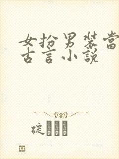 女扮男装当官的古言小说