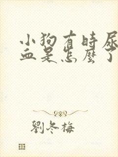 小狗有时尿里有血是怎么了