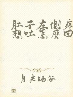 肚子左侧疼有点想吐怎么回事封面