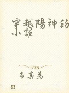 穿越阳神的诸天小说