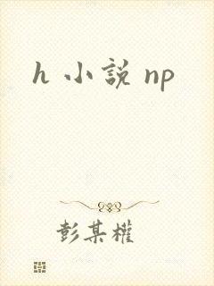 h 小说 np封面