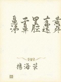 鼻子里有黄脓鼻涕鼻腔还疼