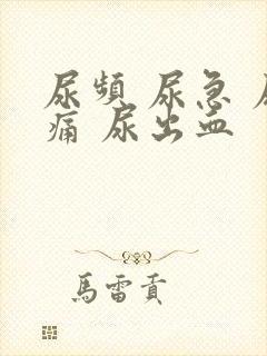 尿频 尿急 尿痛 尿出血封面