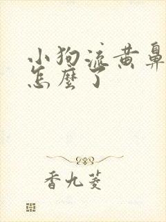 小狗流黄鼻涕是怎么了