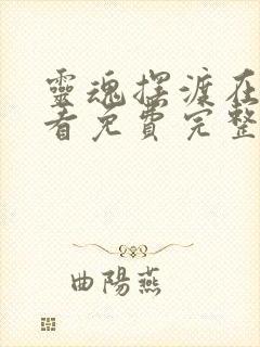 灵魂摆渡在线观看免费完整版高清第一季封面