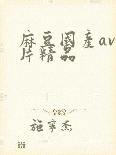 麻豆国产av国片精品