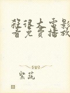 杀很大电影在线看免费播放封面