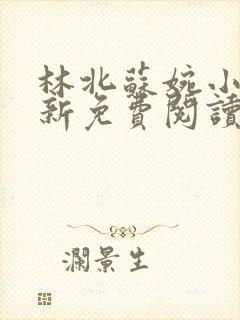 林北苏婉小说最新免费阅读