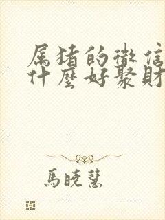 属猪的微信名起什么好聚财封面