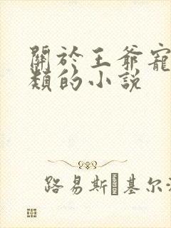 关于王爷宠王妃类的小说封面